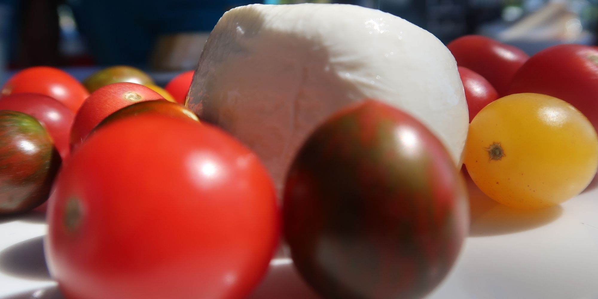 Festival and event organizers